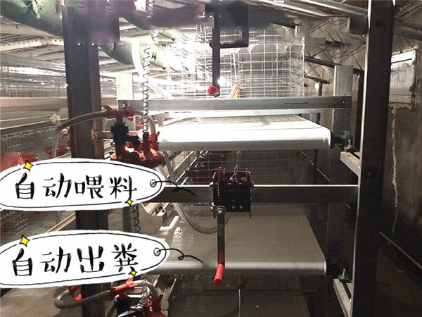 五莲万和羊业案例